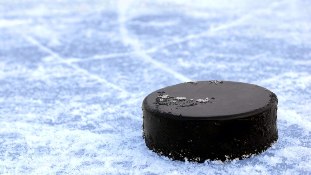 Hockey puck on ice — avoid the Hockey Puck agent when buying an IUL policy. IUL.Solutions Nashville, TN